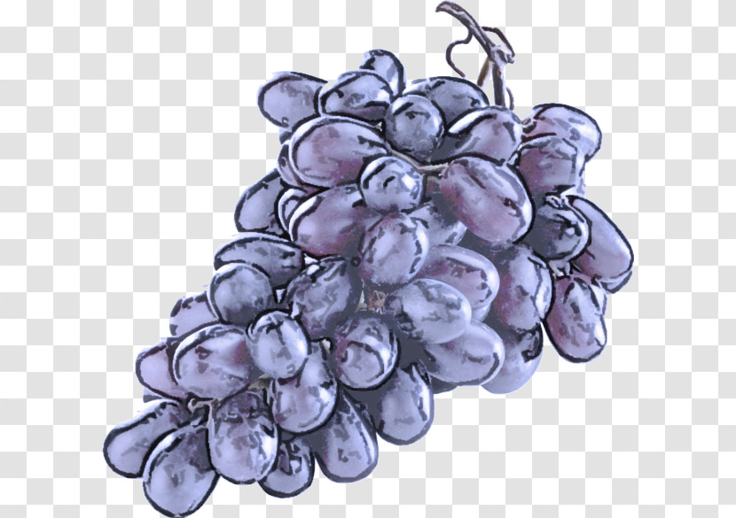Grape Grapevine Family Vitis Fruit Seedless Fruit Transparent PNG
