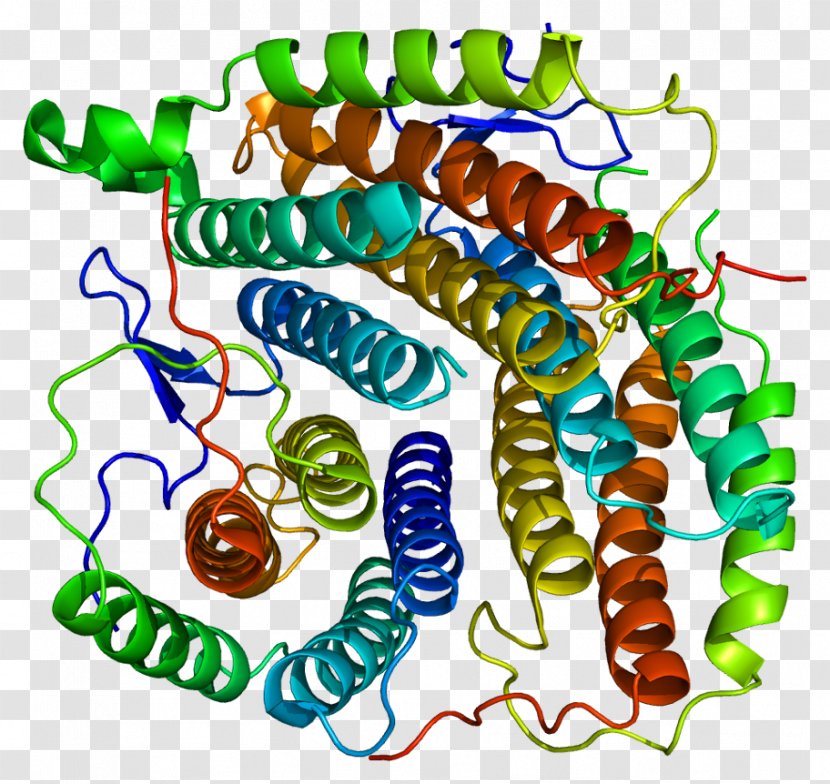 MMAB Cob(I)yrinic Acid A,c-diamide Adenosyltransferase Methylmalonic Acidemia S-adenosylmethionine Synthetase Enzyme Methylmalonyl-CoA Mutase - Sadenosyl Methionine - Sadenosylmethionine Transparent PNG