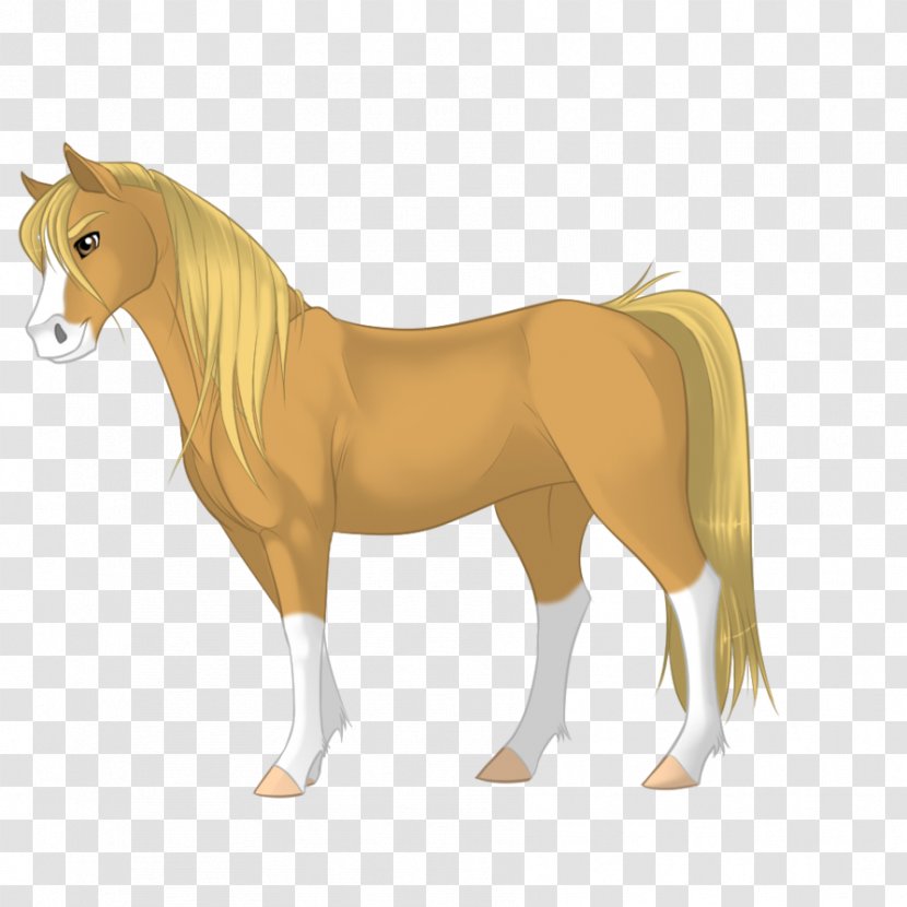 Mane Morgan Horse Mustang Pony Stallion - Toy Transparent PNG