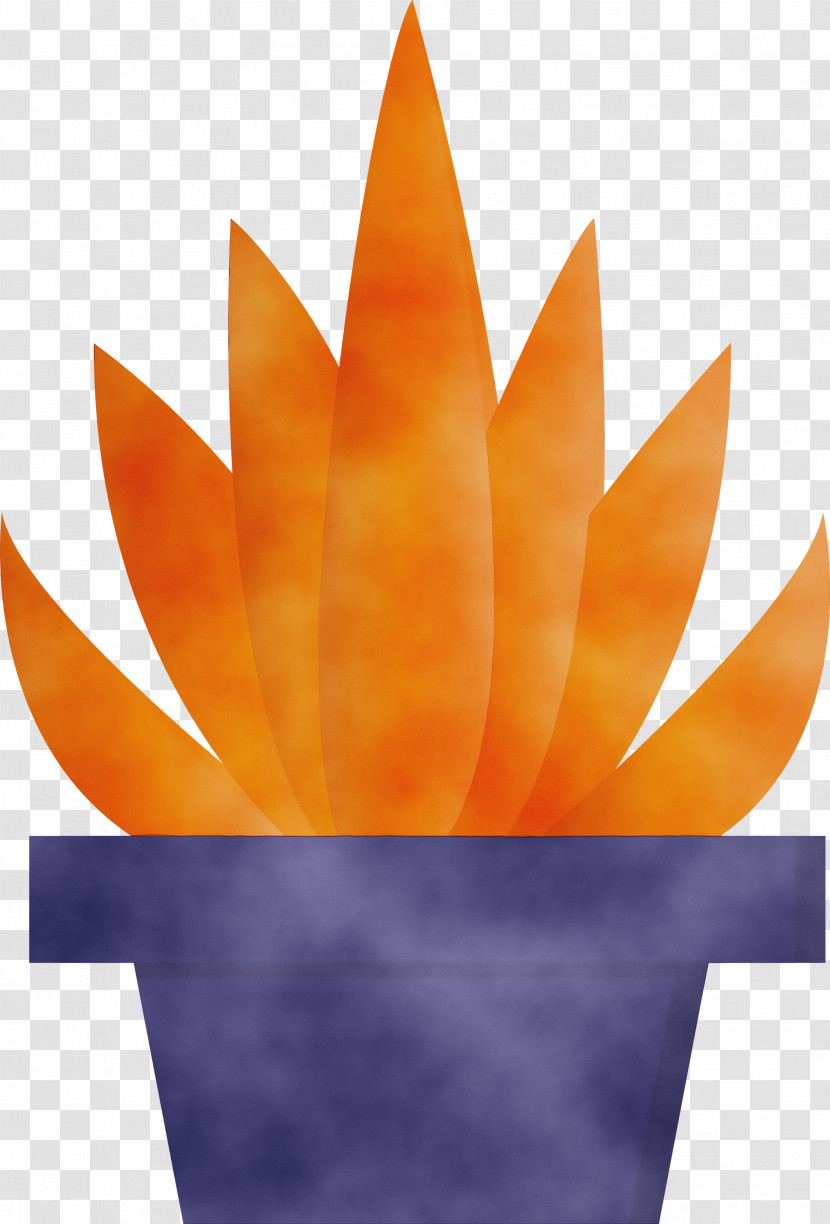 Orange Transparent PNG