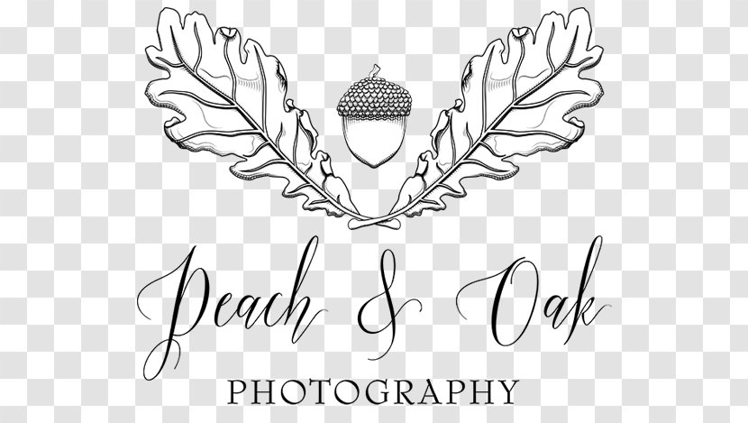 Visual Arts Drawing Graphic Design Calligraphy Clip Art - Flower - Peach Logo Transparent PNG