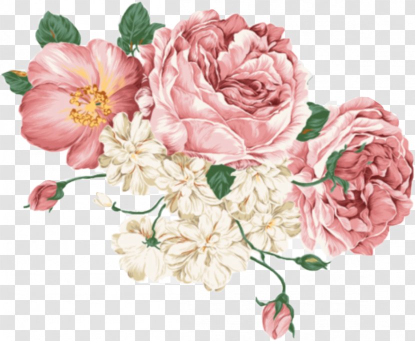 Vector Graphics Clip Art Peony Drawing Image - Garden Roses Transparent PNG
