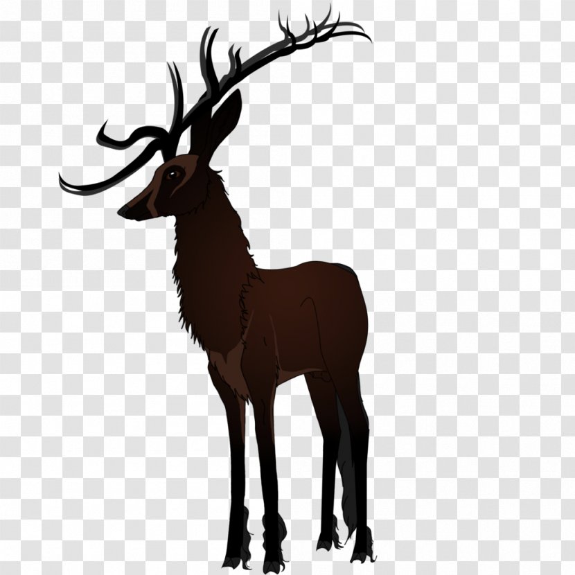 Elk Antelope Goat Reindeer Horn - Wildlife Transparent PNG