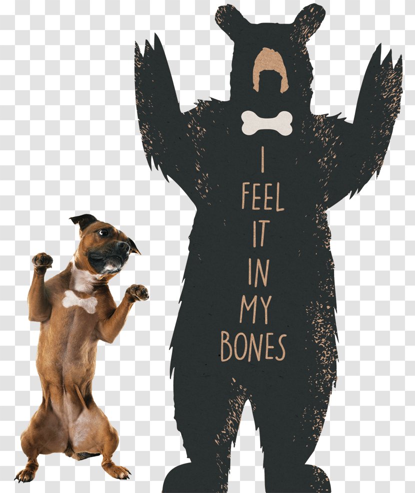 Staffordshire Bull Terrier American (Miniature) Boxer - Bear Transparent PNG