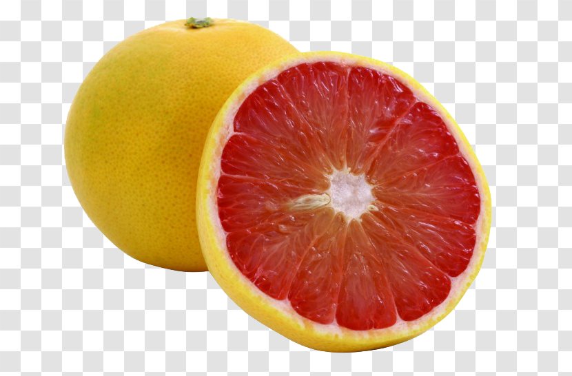 Blood Orange Juice Grapefruit Tangerine Pomelo - Tree Transparent PNG