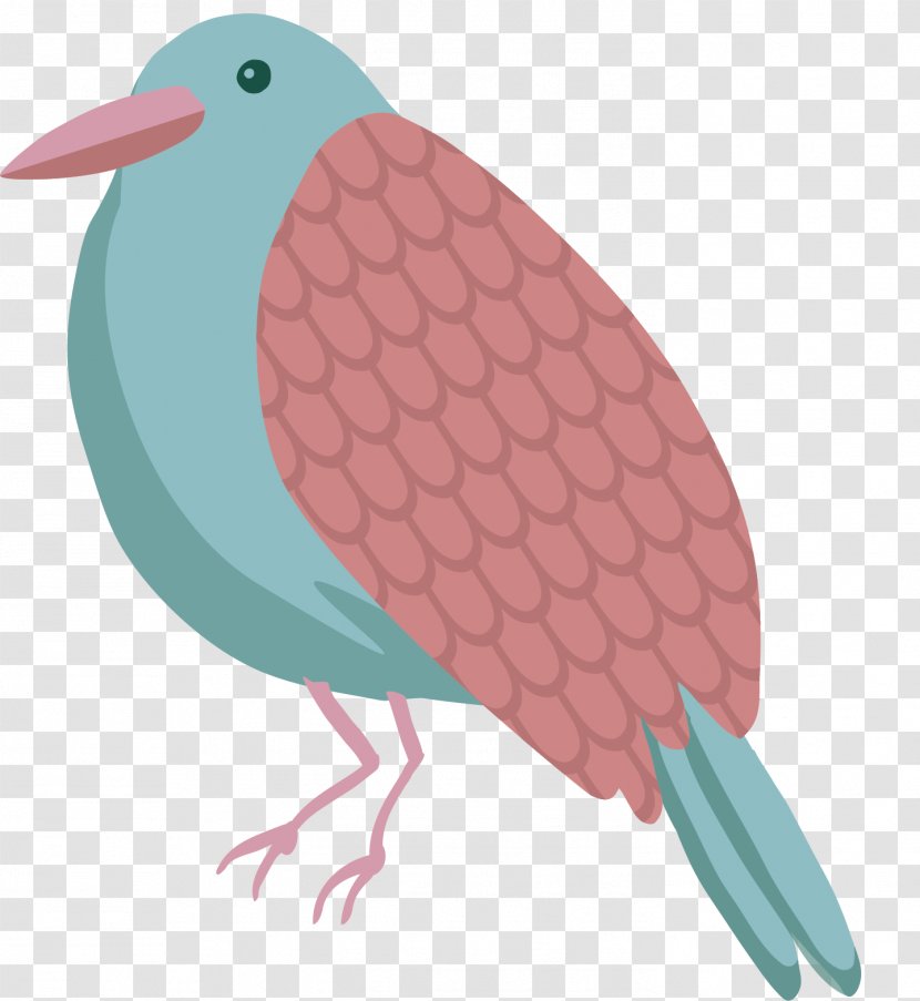 Parrot Cartoon Illustration - Feather - Animal Vector Transparent PNG