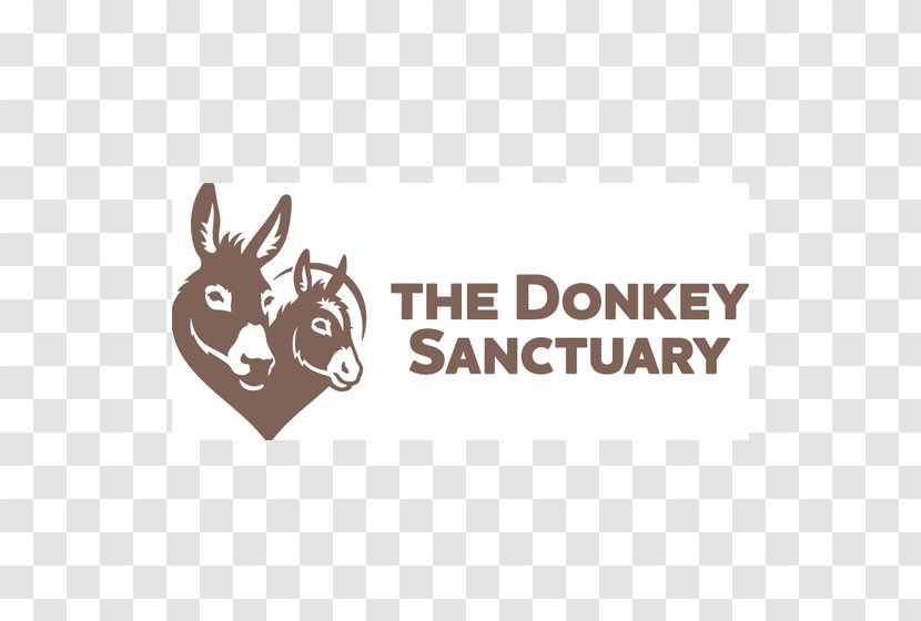 The Donkey Sanctuary Devon Sidmouth Mule Charitable Organization Transparent PNG