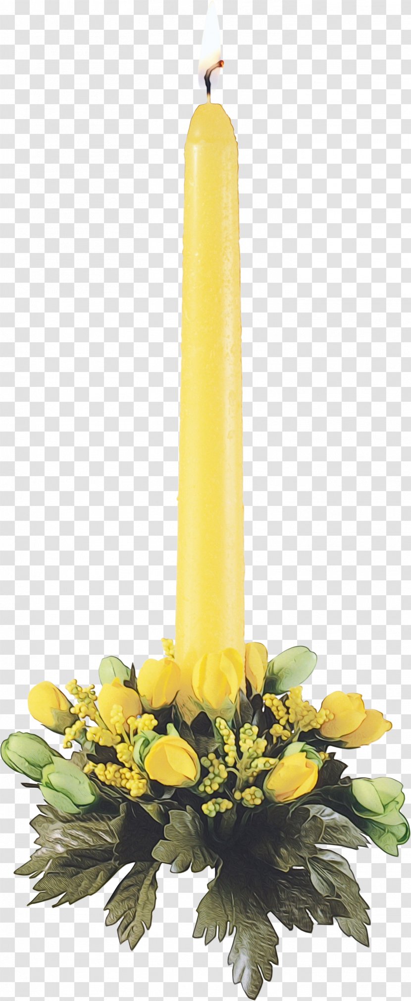 Yellow Flower Candle Plant Cut Flowers - Bouquet - Petal Transparent PNG