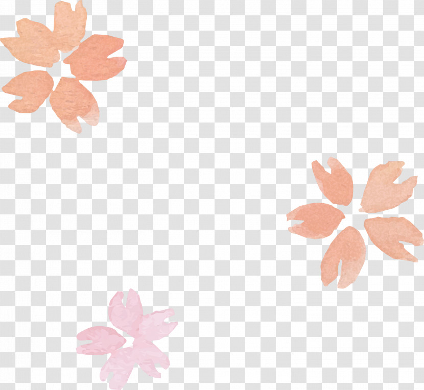 Leaf Plant Petal Flower Pedicel Transparent PNG