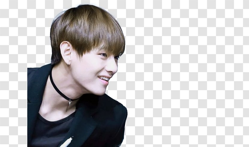 Kim Taehyung BTS The Most Beautiful Moment In Life: Young Forever K-pop Korean Idol - Silhouette - Tree Transparent PNG