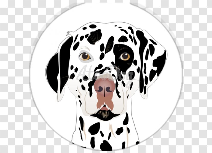 Dalmatian Dog Puppy Breed Non-sporting Group Snout - Vertebrate Transparent PNG