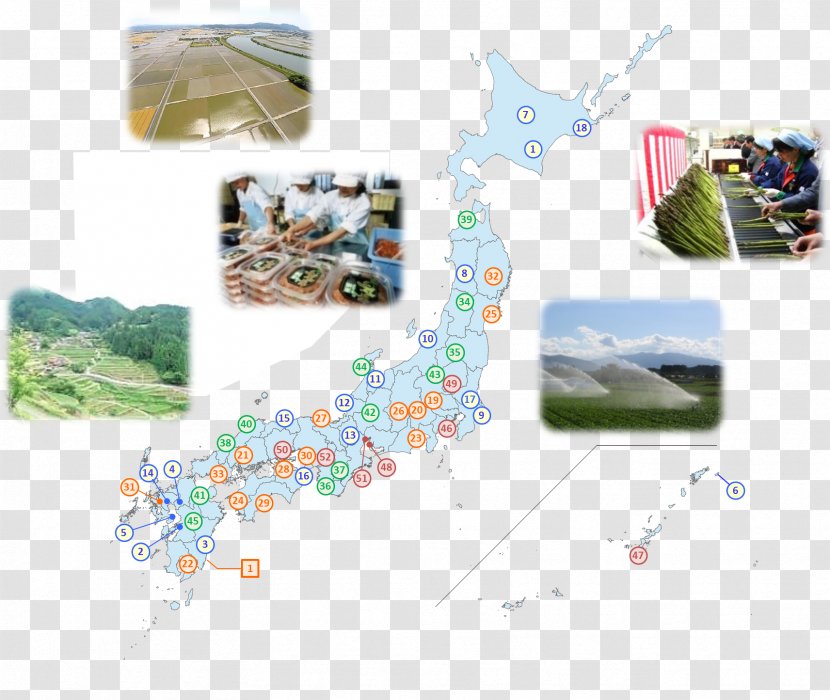 Ministry Of Agriculture, Forestry And Fisheries Yatsushiro Agricultural Policy 熊本県庁経営局 流通企画課地産地消・加工班 - Japan Cooperatives - Maff Transparent PNG