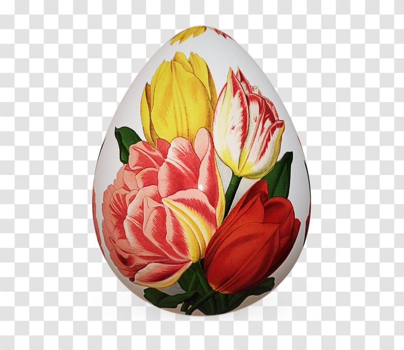 Flower Tulip Plant Petal Yellow - Bouquet - Lily Family Transparent PNG