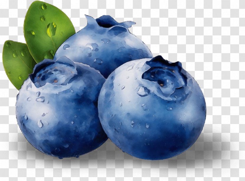 Blueberry Bilberry Berry European Plum Fruit - Food Tree Transparent PNG