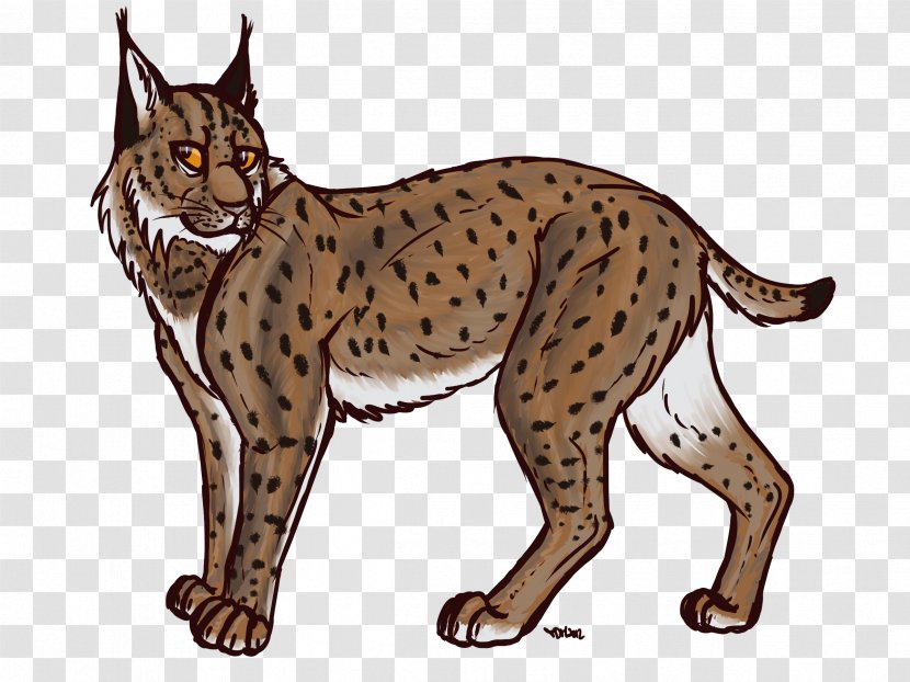 Eurasian Lynx Bobcat Canada Drawing Clip Art - Wildlife - Transparent Images Transparent PNG