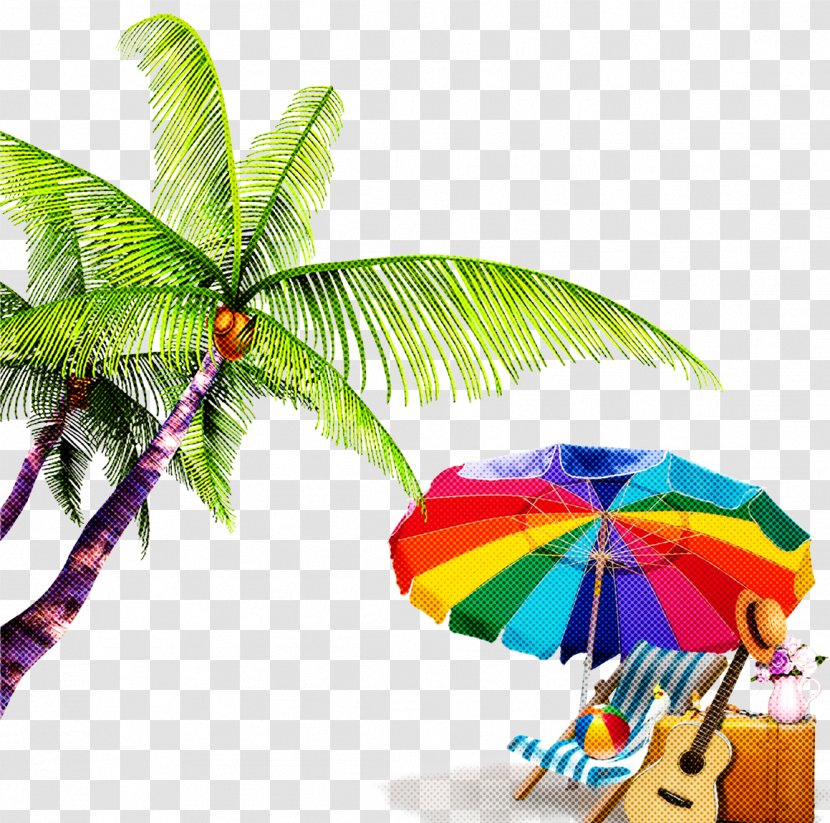 Palm Tree - Arecales - Tropics Fashion Accessory Transparent PNG