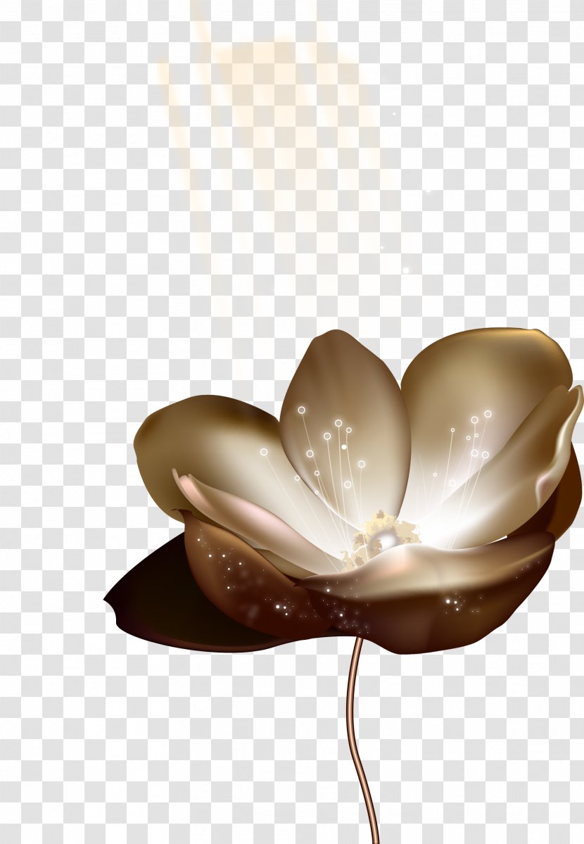 Nelumbo Nucifera - Flat Design - Art Golden Lotus Bloom Transparent PNG