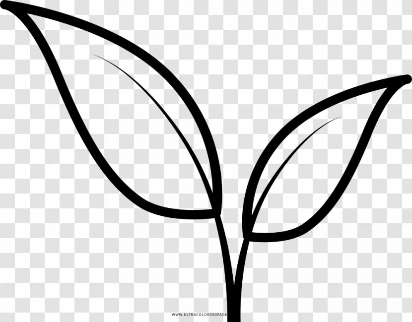 Leaf Drawing Line Art Coloring Book Clip - Hemp Transparent PNG