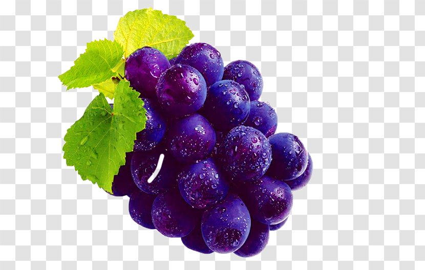 Kyoho Shine Muscat Grape Huxian Speciality U6237u592au516bu53f7u8461u8404 - Vitis Shenxiensis - Purple Material Transparent PNG