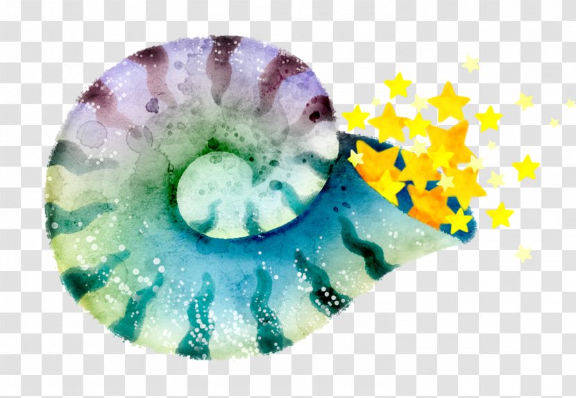 Organism Close-up - Spiral - Conch Transparent PNG