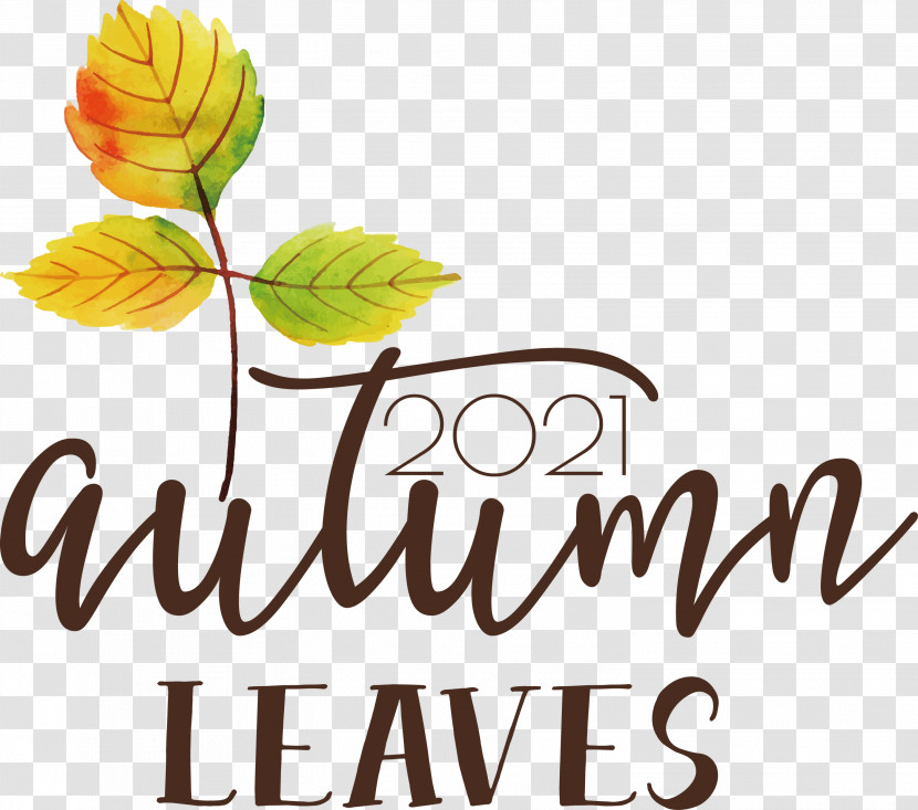 Autumn Leaves Autumn Fall Transparent PNG