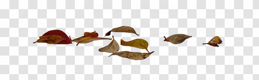 Autumn Leaves - Profession - Kocaeli Province Transparent PNG