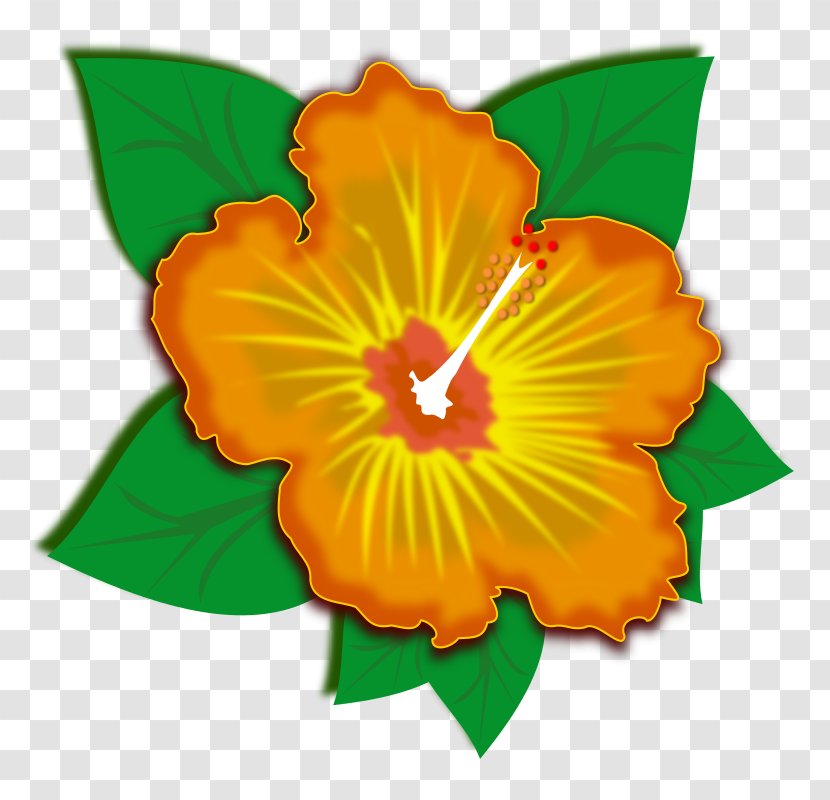 Clip Art Vector Graphics Openclipart Image - Flowering Plant - Flower Transparent PNG