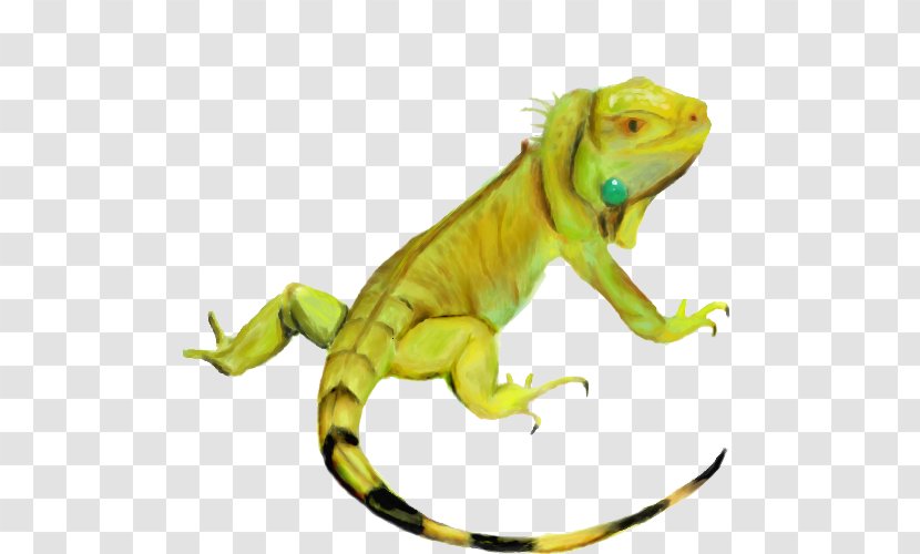 Common Iguanas Chameleons - Drawing - Iguana HD Transparent PNG