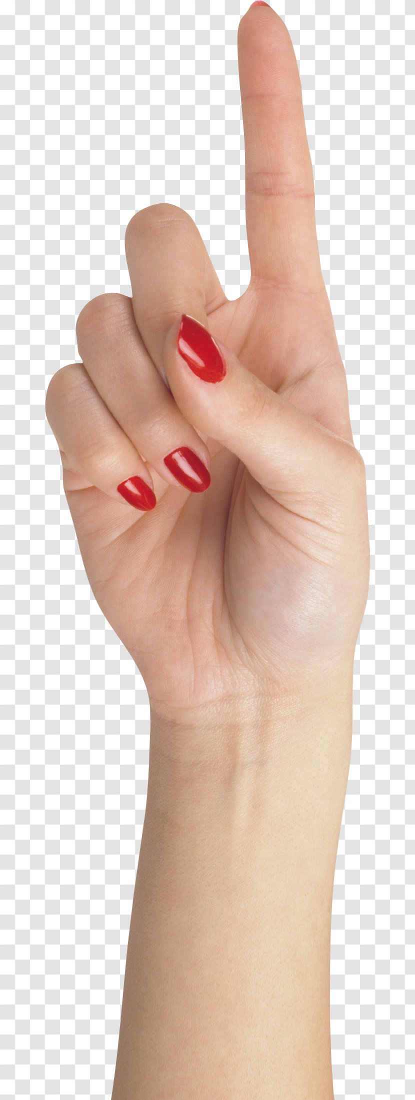 Nail Hand Finger - Hands , Image Free Transparent PNG
