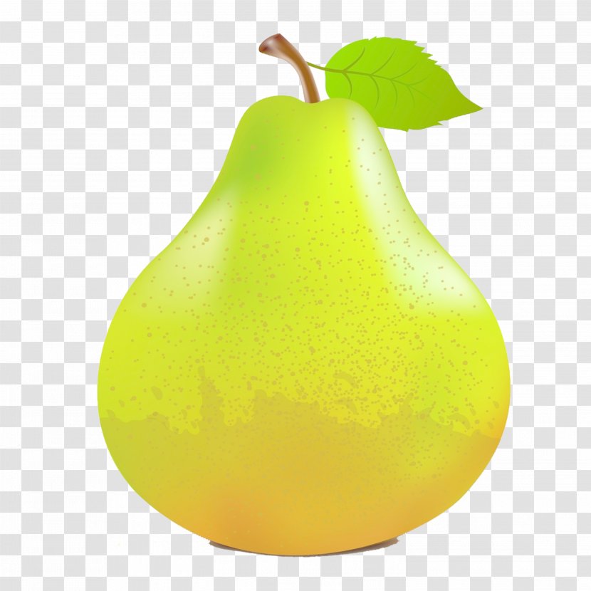 Pear Fruit - Drawing Transparent PNG