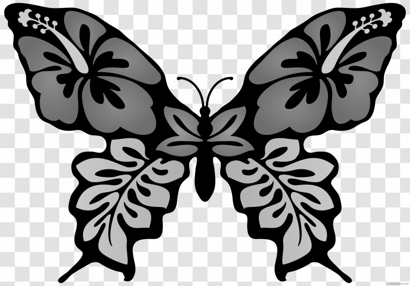 Butterfly Drawing Clip Art Image - Butterflies And Moths Transparent PNG
