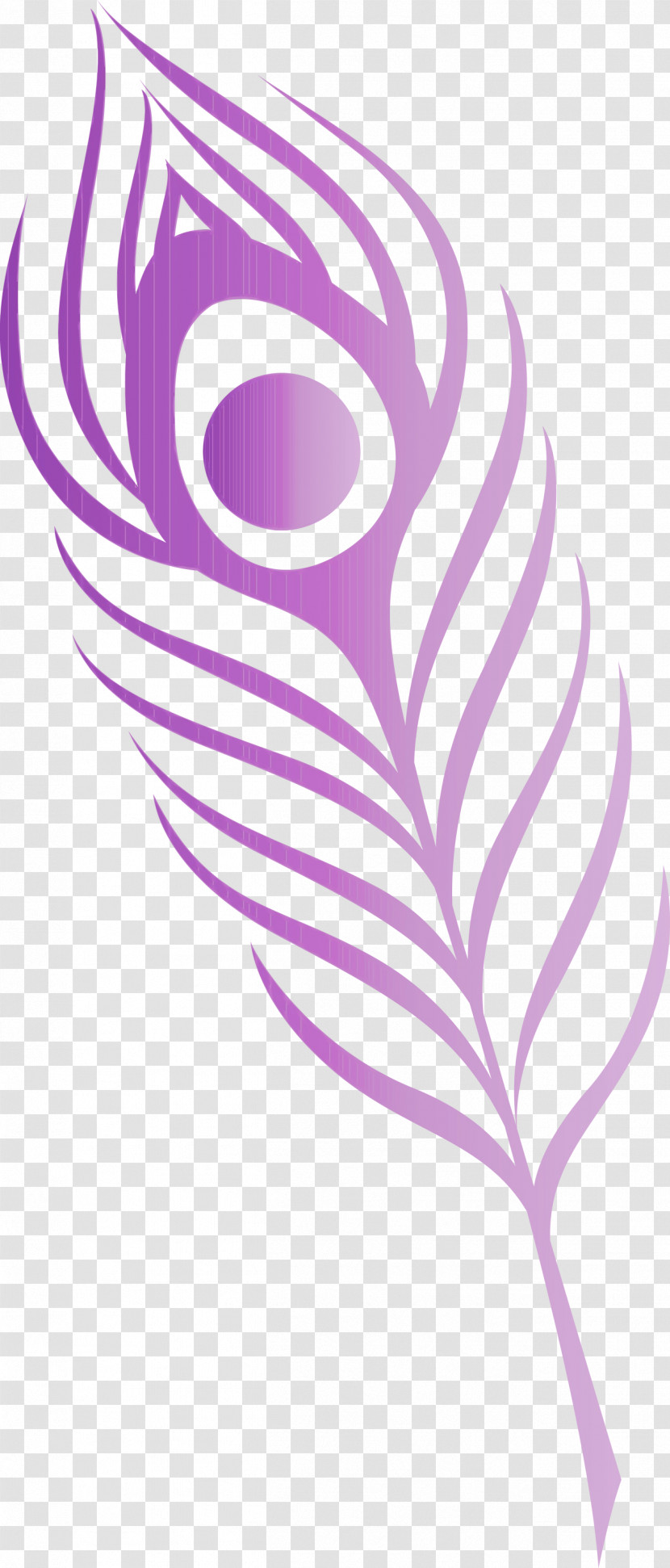 Feather Transparent PNG