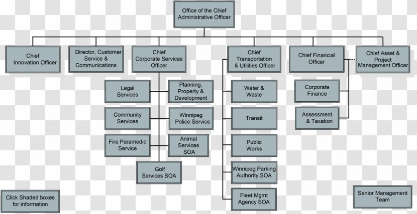 Organizational Chart Management Structure - System - Material Transparent PNG