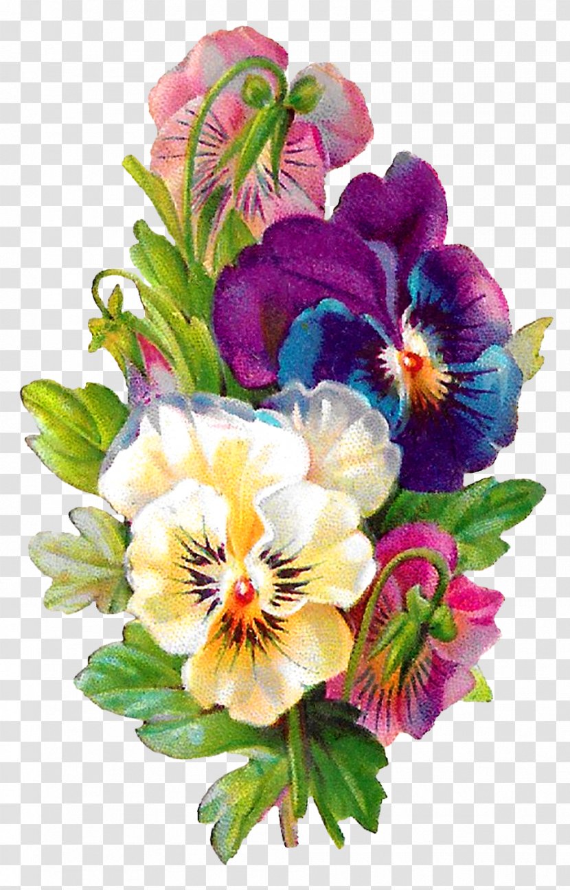 Pansy Floral Design Line Art Clip - Flower Transparent PNG