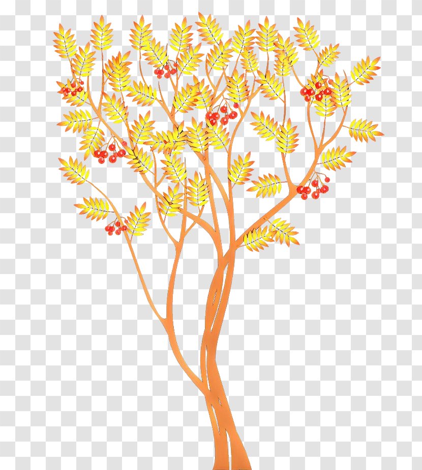 Flowers Background - Flower - Pedicel Plant Transparent PNG
