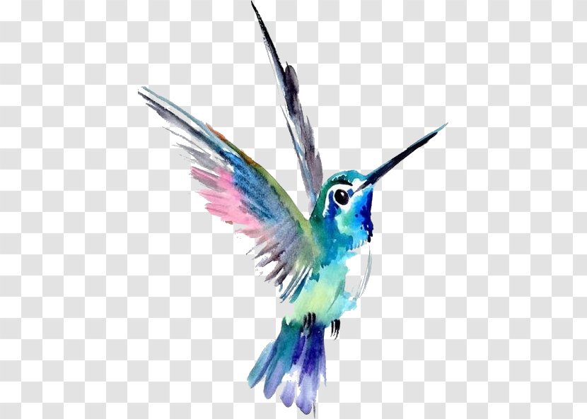 Watercolor Painting Art Hummingbird Drawing - Tail - Tattoo Transparent PNG