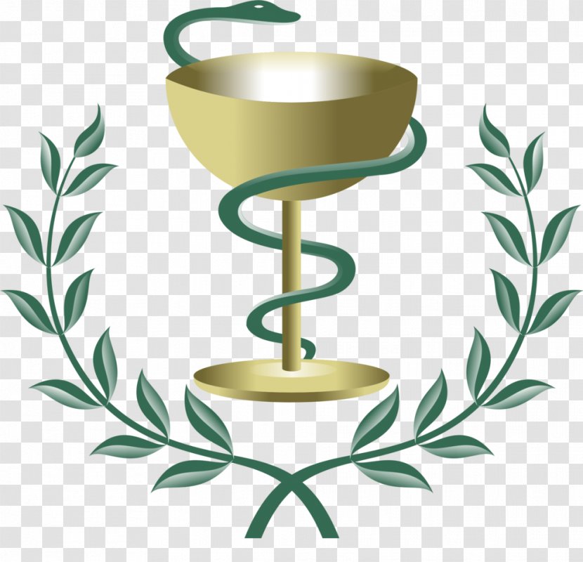 Medicine Symbol Pharmacy Health Disease - Flowerpot Transparent PNG