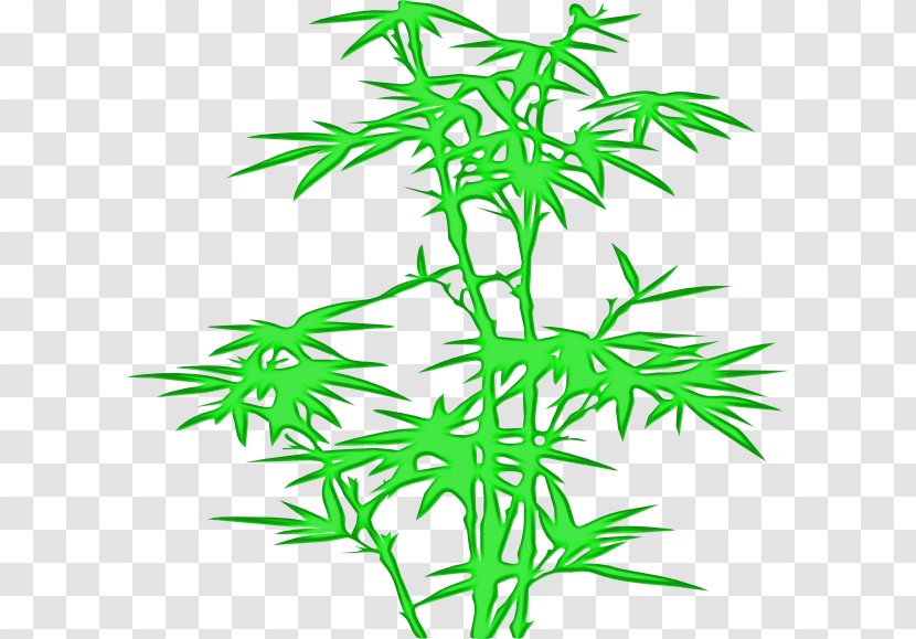 Family Tree Drawing - Grass - Flowering Plant Hemp Transparent PNG