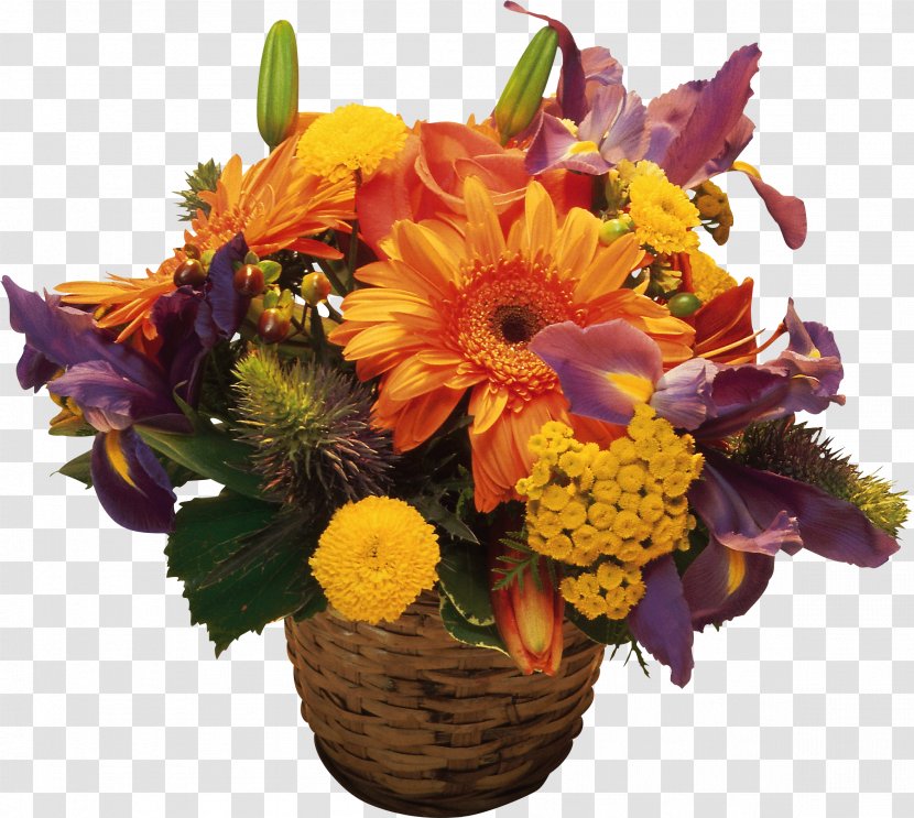 Cincinnati Flower Show Desktop Wallpaper Transvaal Daisy - Arranging - Thanksgiving Transparent PNG