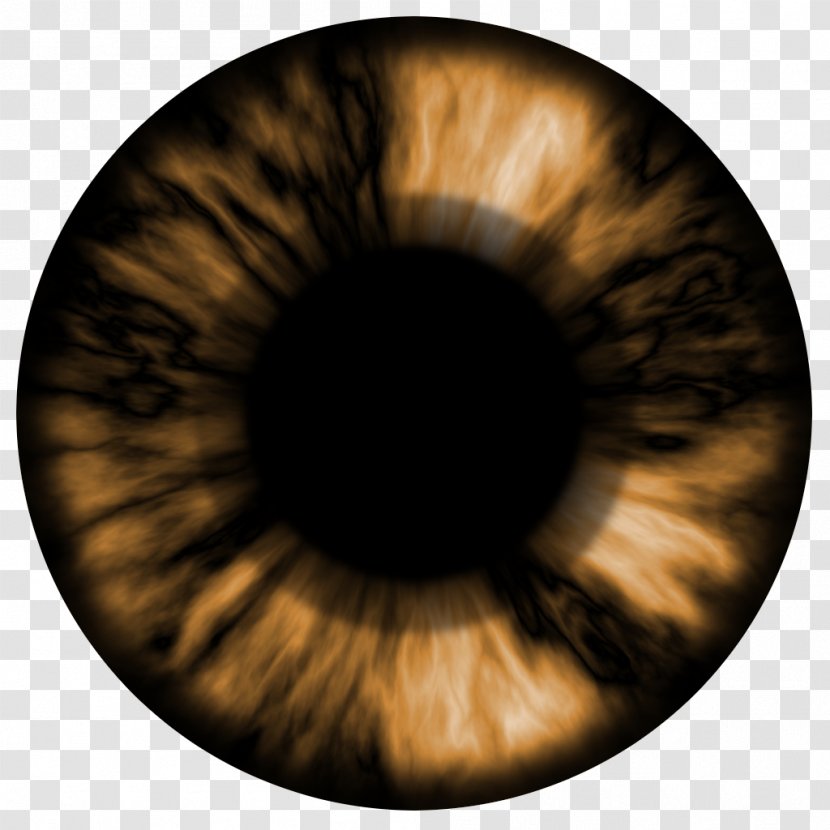 Eye Iris Drawing - Heart Transparent PNG