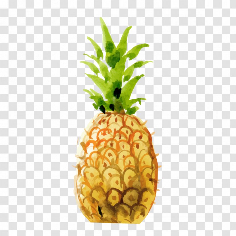 Pineapple Drawing - Vecteur - Hand-painted Transparent PNG
