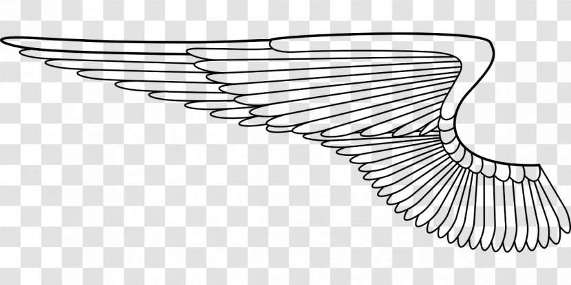 Airplane Fixed-wing Aircraft Line Art Clip - Monochrome Transparent PNG
