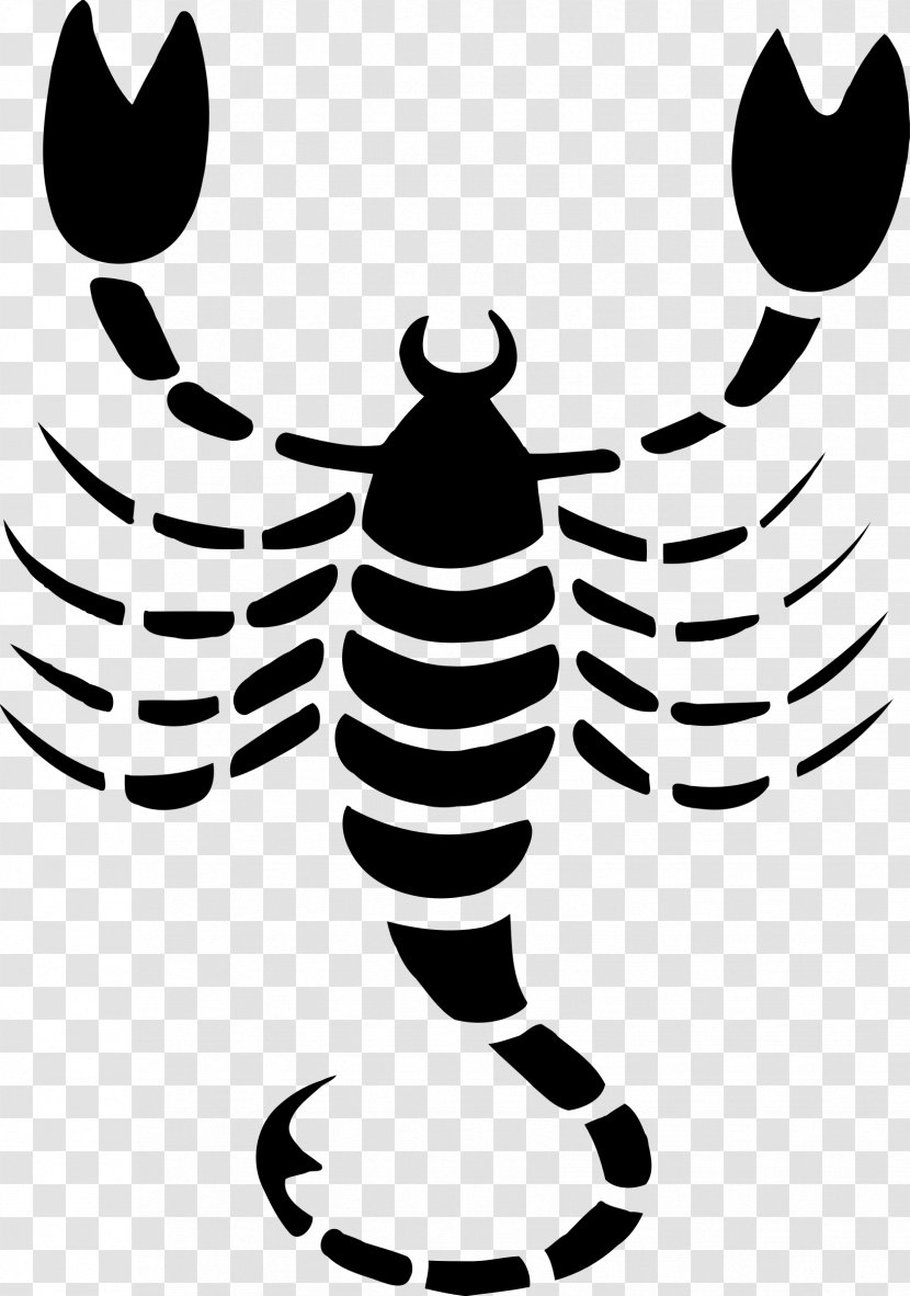 Scorpion Astrological Sign Zodiac Clip Art - Membrane Winged Insect - Scorpio Astrology Transparent PNG