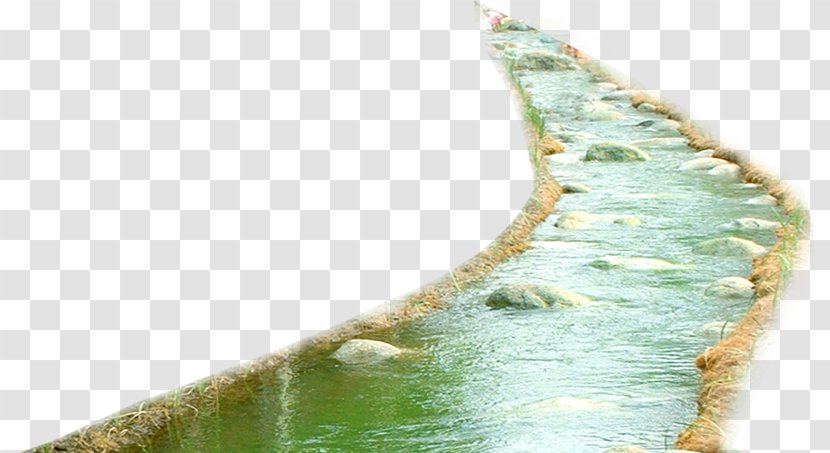 Euclidean Vector Icon - River - Green Lake Transparent PNG