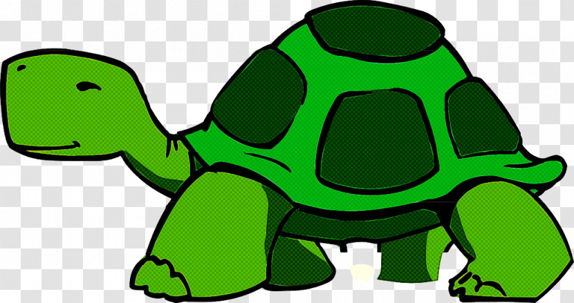 Green Tortoise Turtle Reptile Galápagos Tortoise Transparent PNG