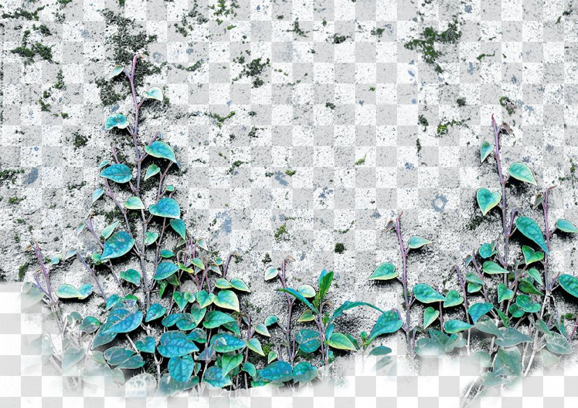 Fence Wall Parede - Google Images - Flower Ivy Transparent PNG