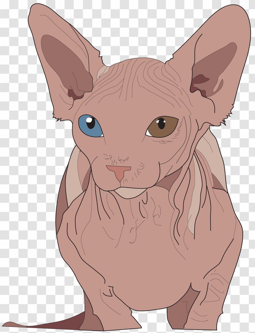 Sphynx Cat Donskoy Peterbald Whiskers Illustration - Small To Medium Sized Cats - Vector Transparent PNG