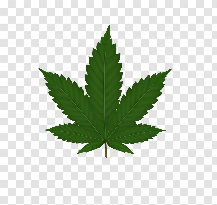 Cannabis Sativa Leaf Clip Art - Tree Transparent PNG