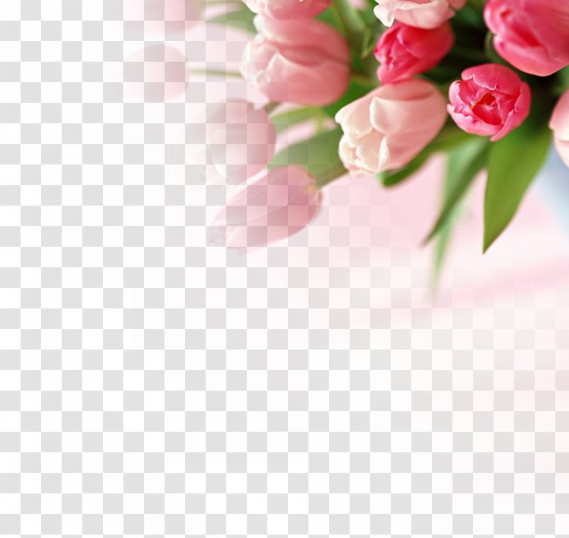 Romance Download - Flower - Bouquet Of Flowers Turmeric Transparent PNG