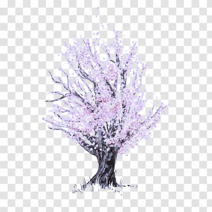 Tree Branch Woody Plant Plant Purple Transparent PNG
